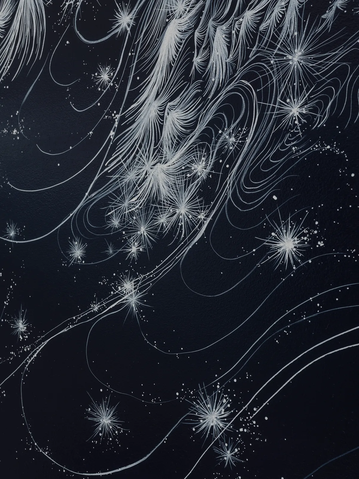 Image of Night of Hope.