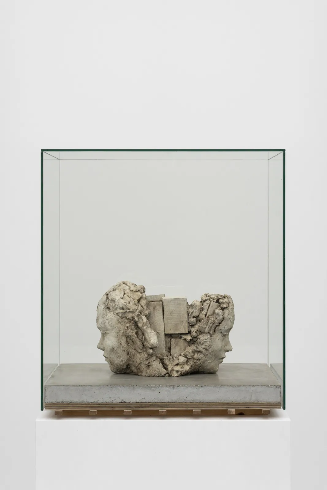 Image of Double Clayhead on Concrete Floor