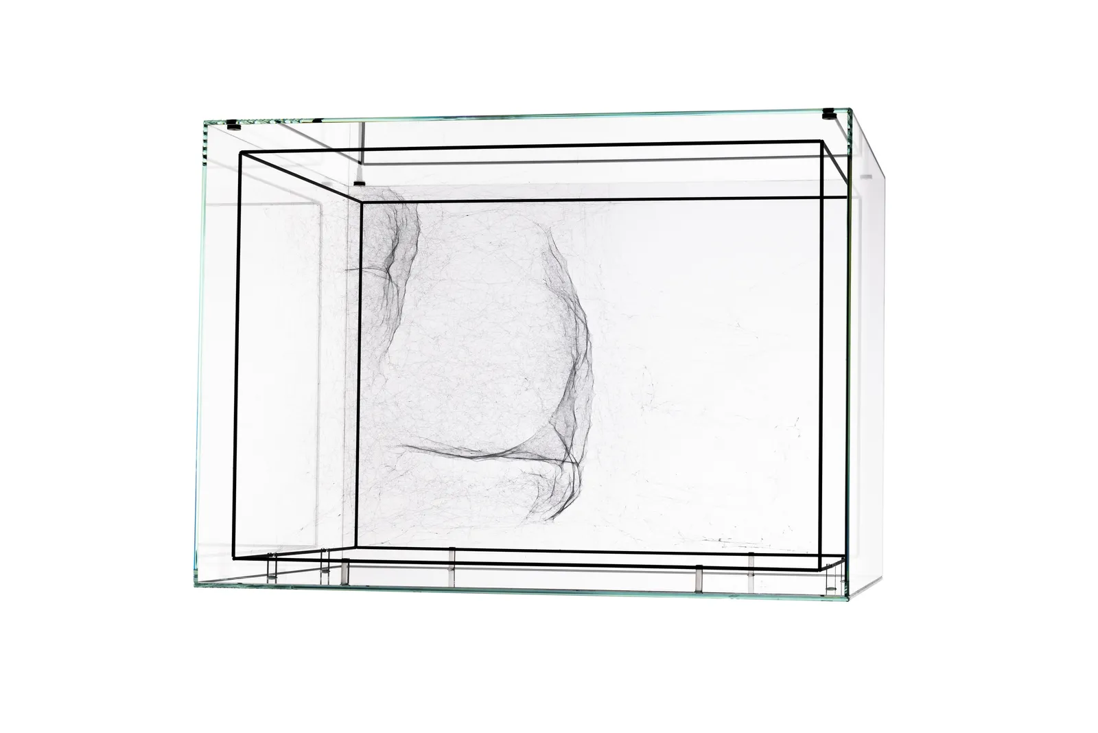 Image of Saraceno spider box.
