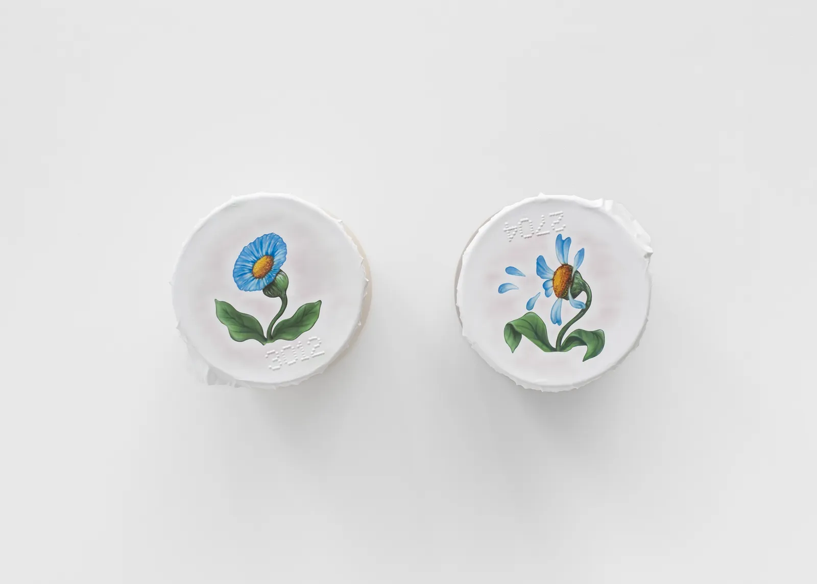 Image og Clementine (Bud).