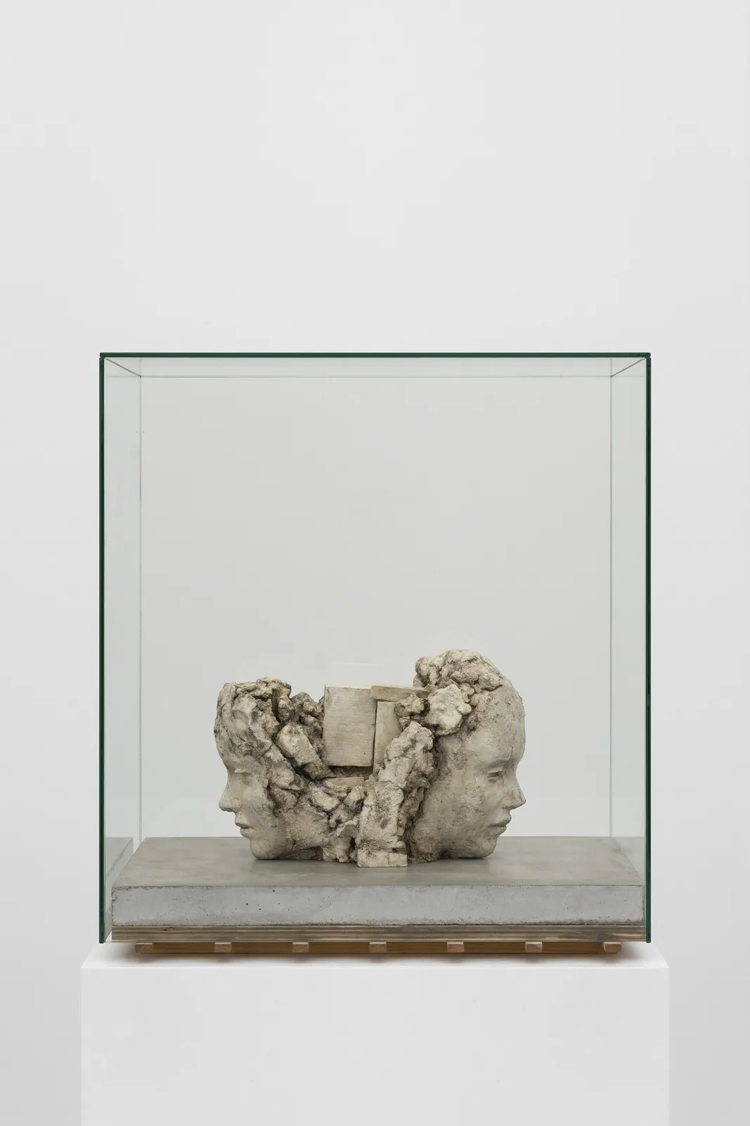 Image of Double Clayhead on Concrete Floor