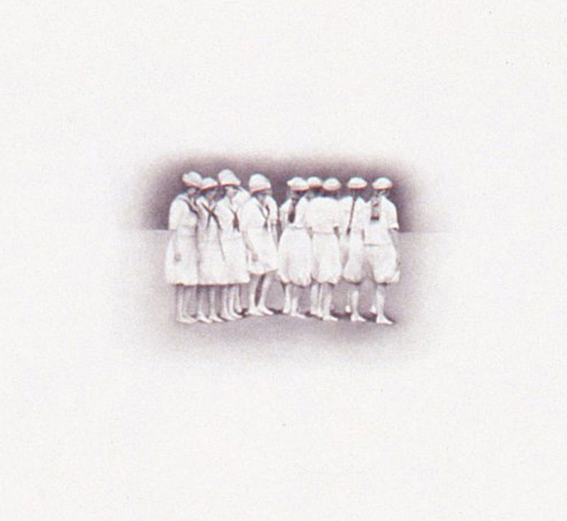 Peggy Preheim, Swarm, 2008