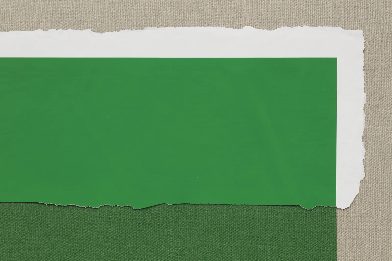 analia saban green print