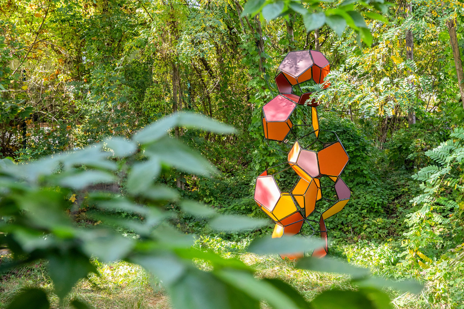 Image of Silent Autumn (Ross 508 B/M+M)