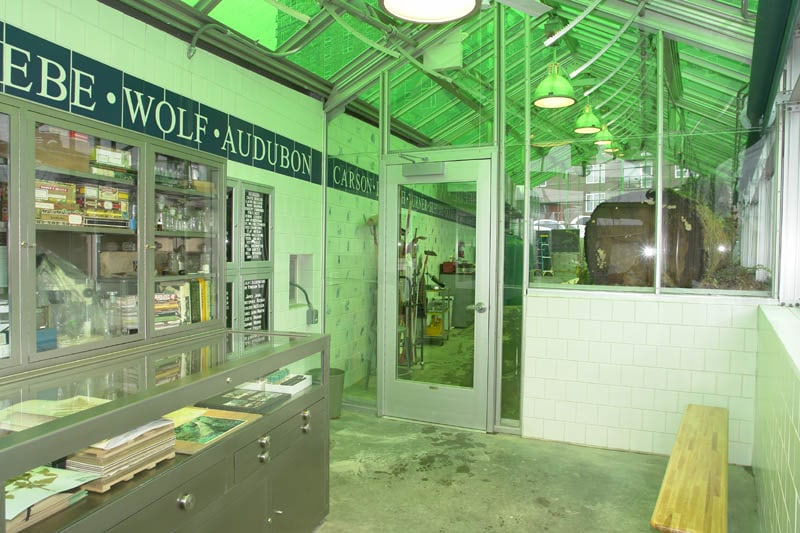 image of dion vivarium