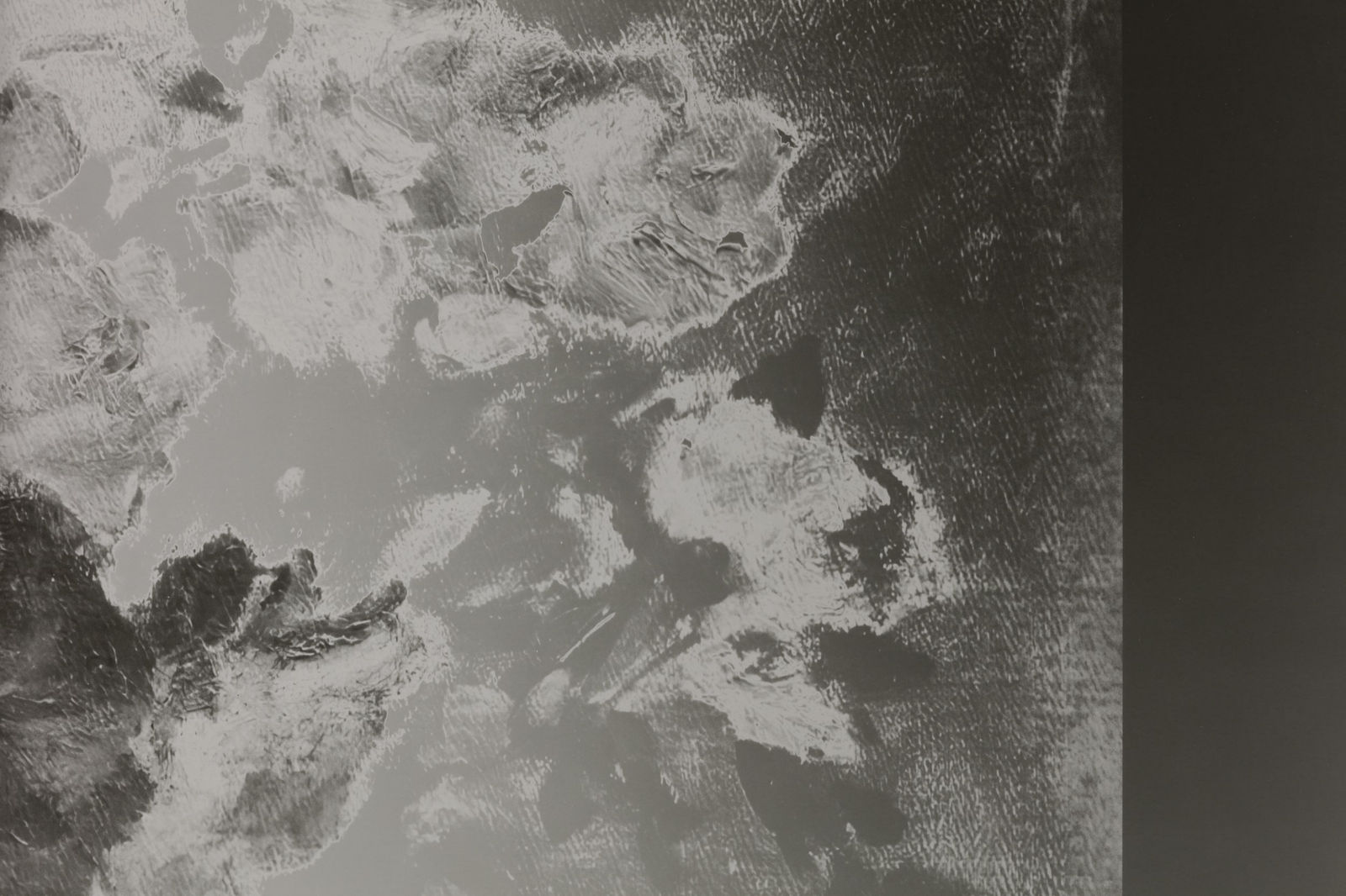 Image of Blumenstilleben, N.D./2022 (Version II)