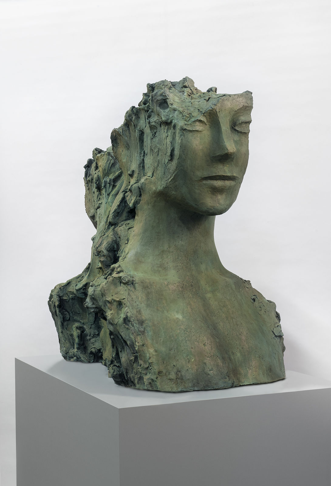 Image of Two Immovable Heads