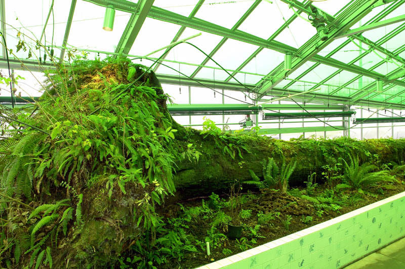 image of dion vivarium
