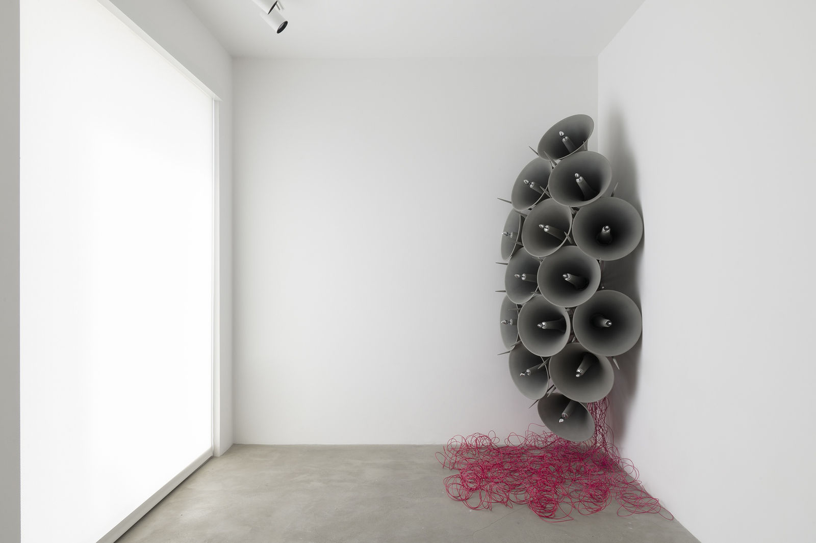 Jónsi, Í blóma (In bloom), 2019