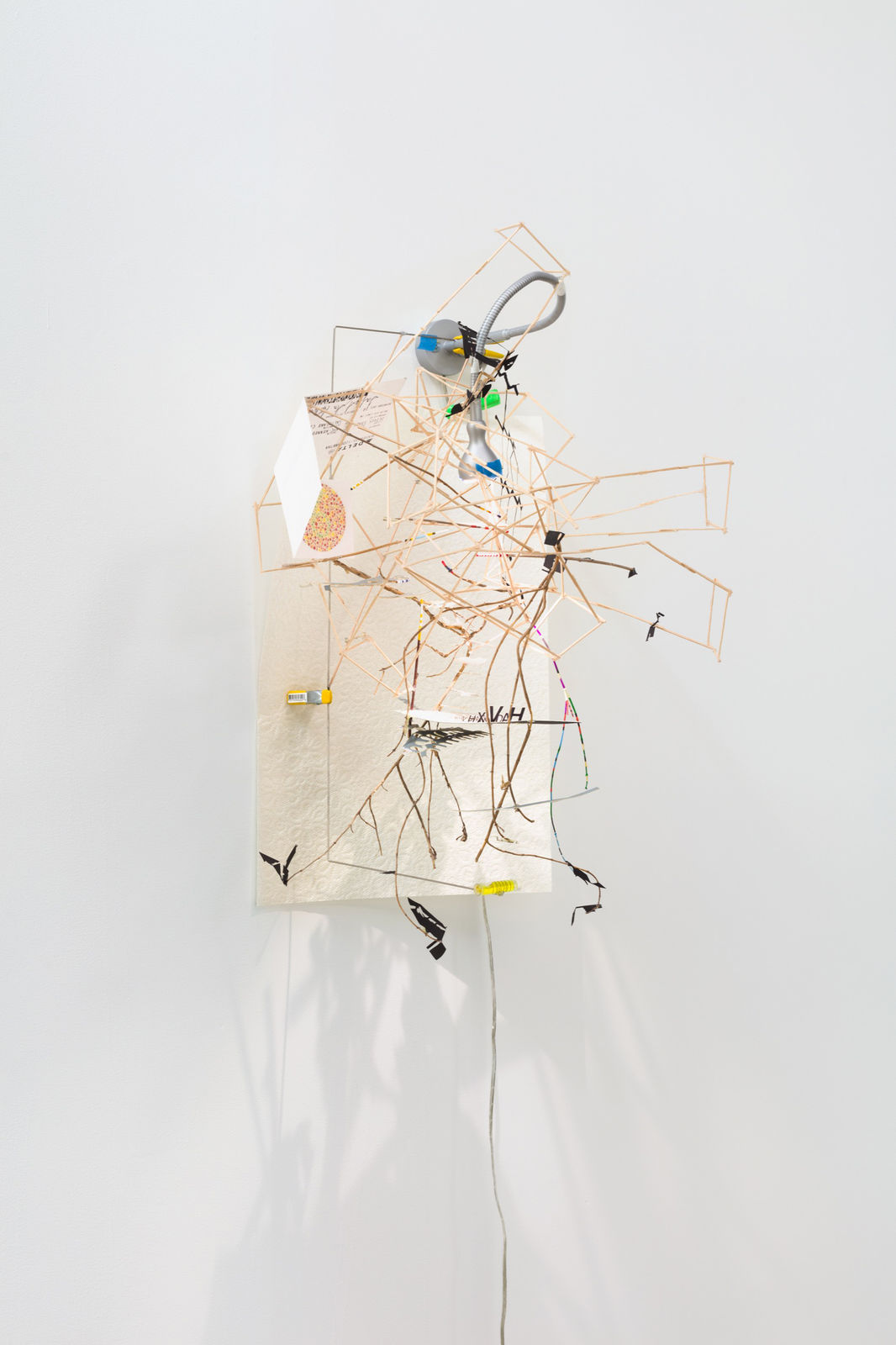 Image of Landing (Nest Series)