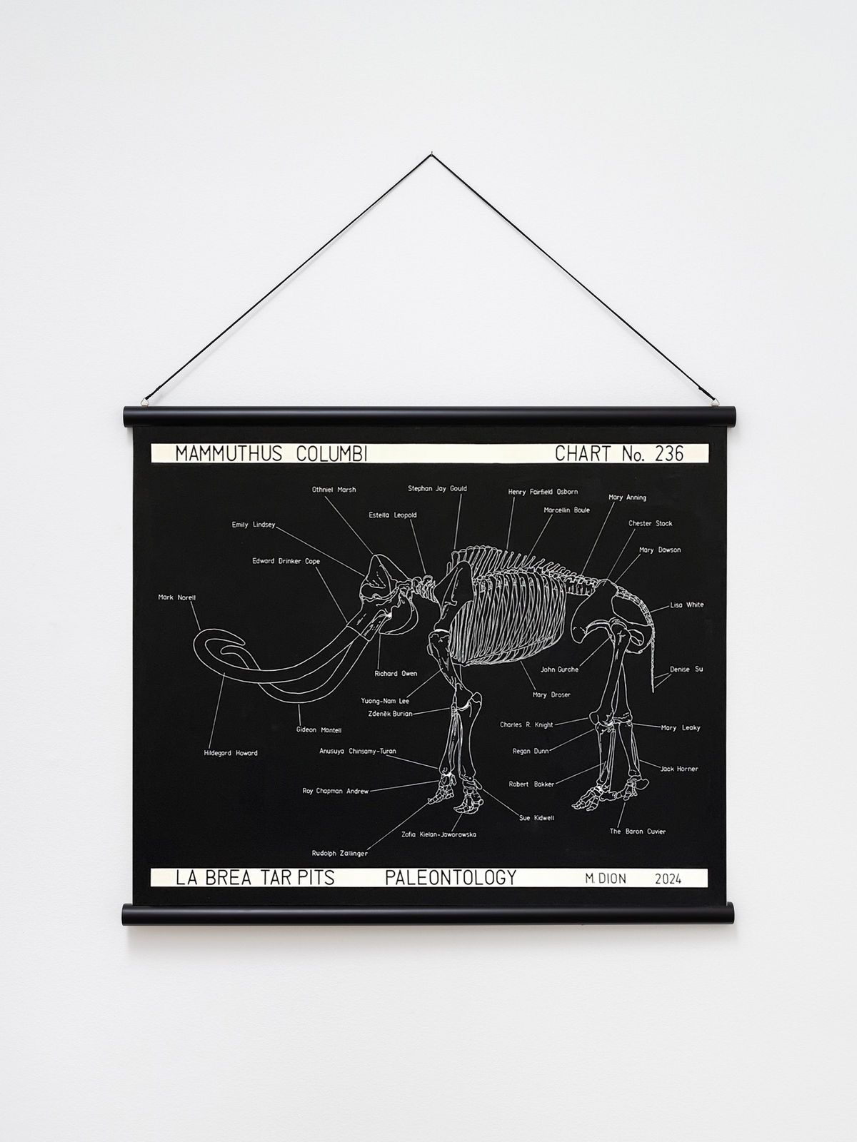 Image of Mammuthus columbi.