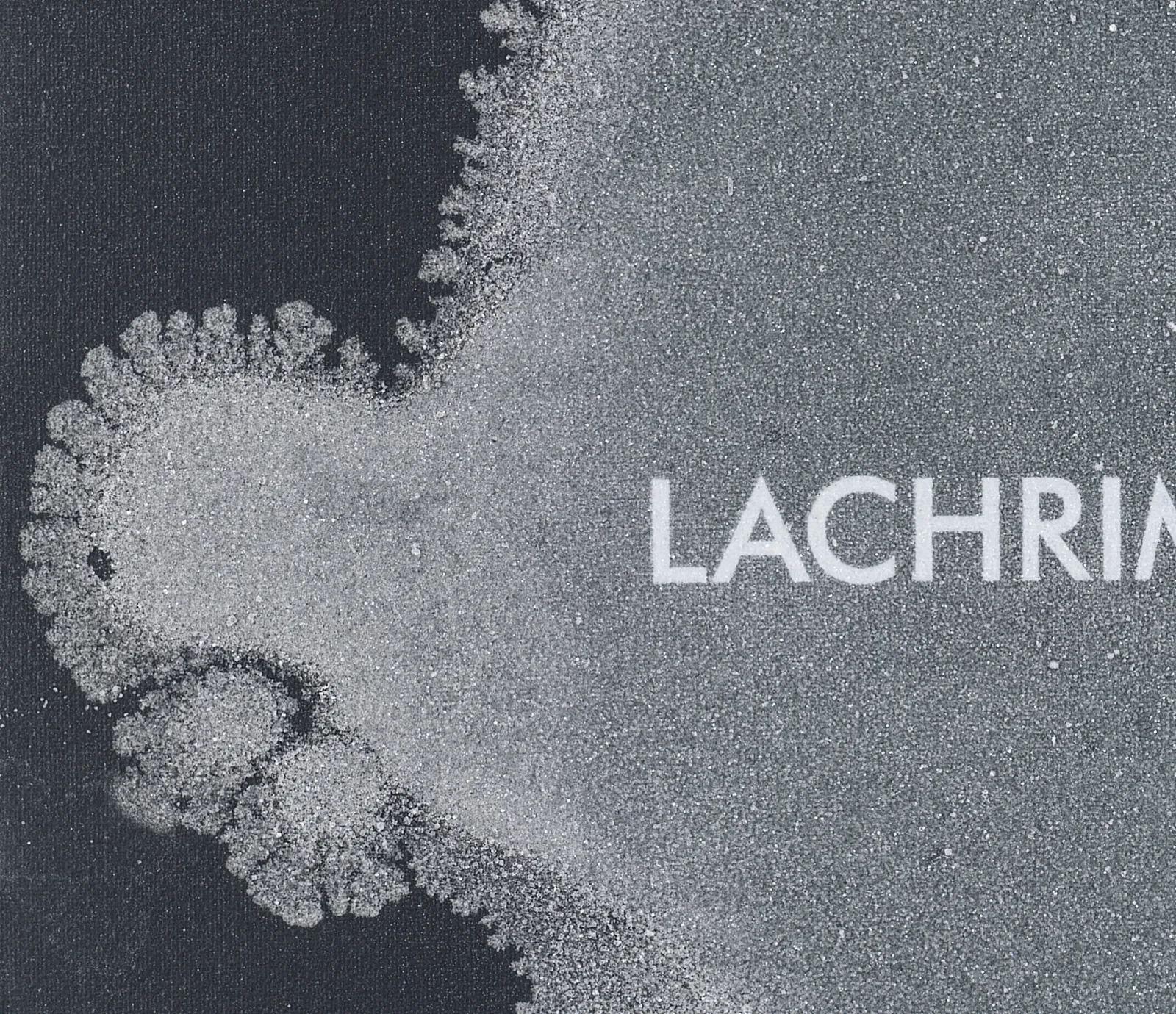 Image of Lachrimae Antiquae VIII