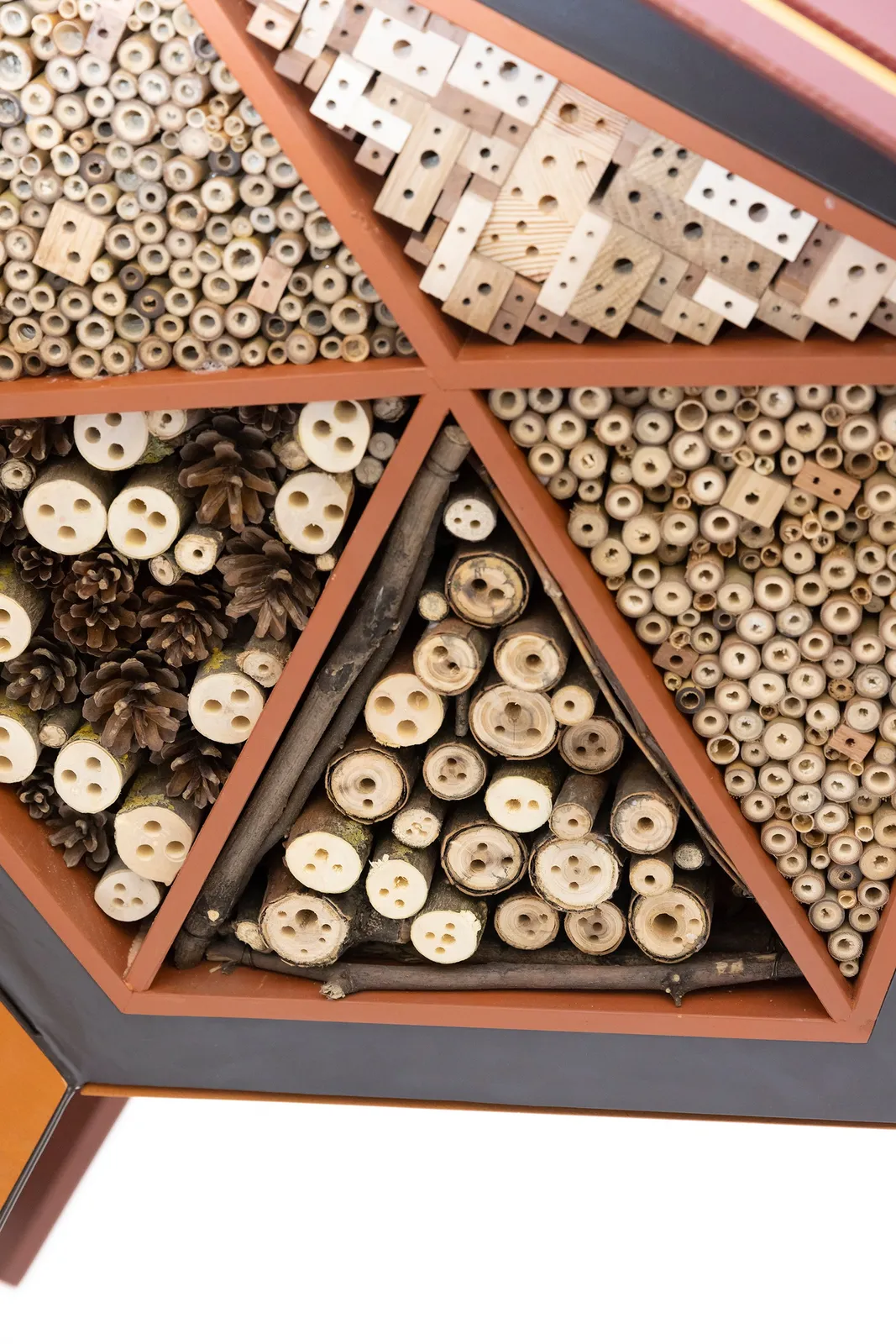 Wooden sculpture against white background