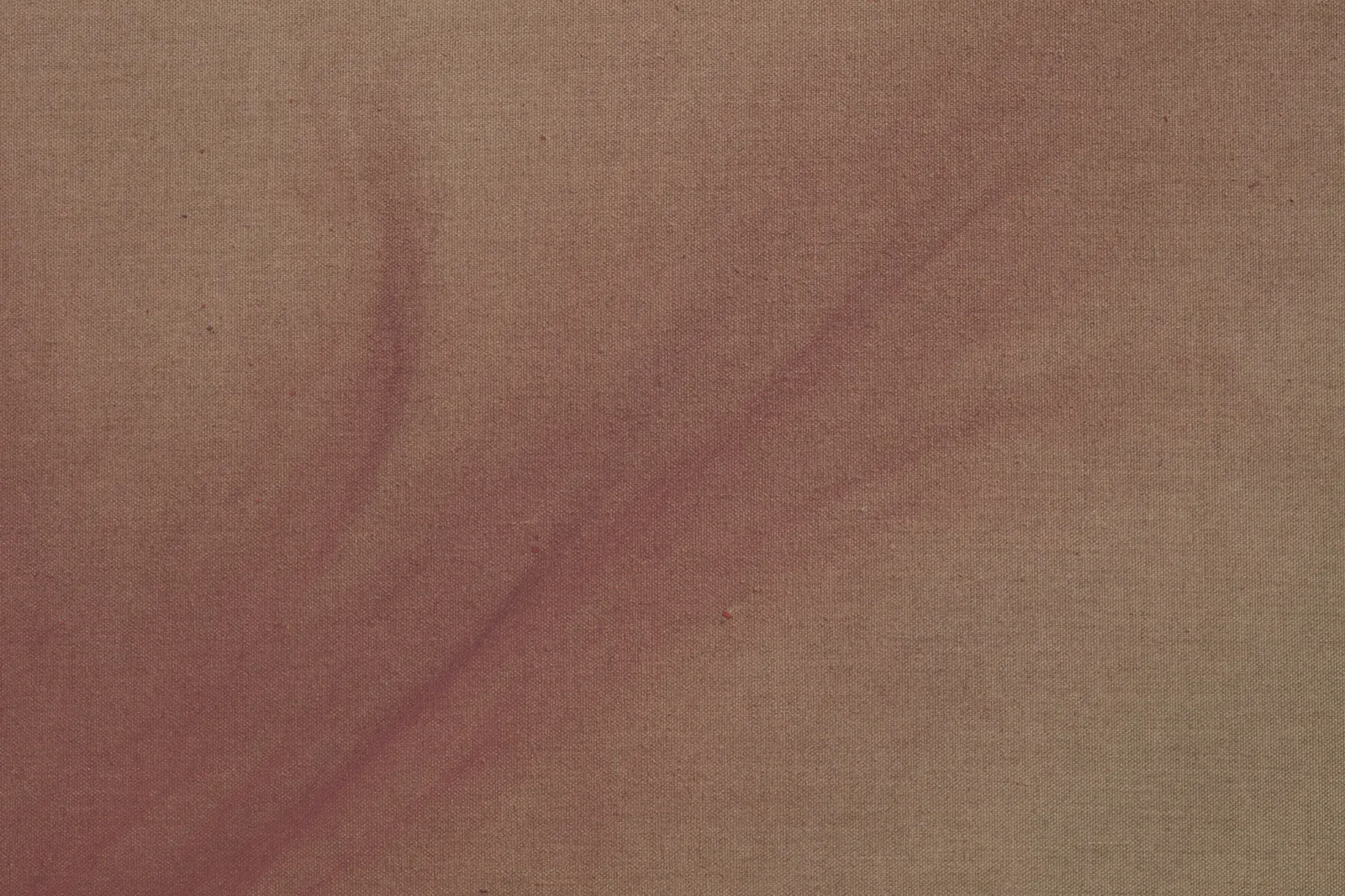 Image of Twenty Thousand Years of Red (from Red Ochre to Ford F-150 Side Panel).