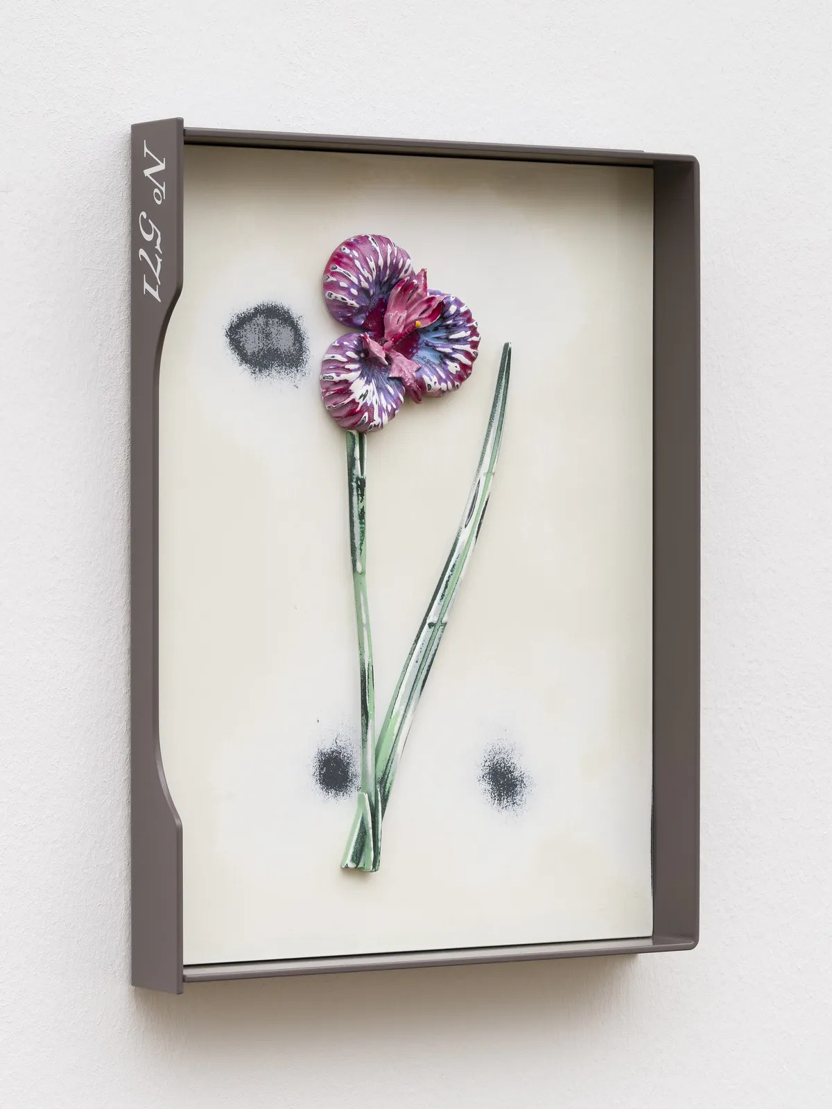 Image of Curtis (No. 571).