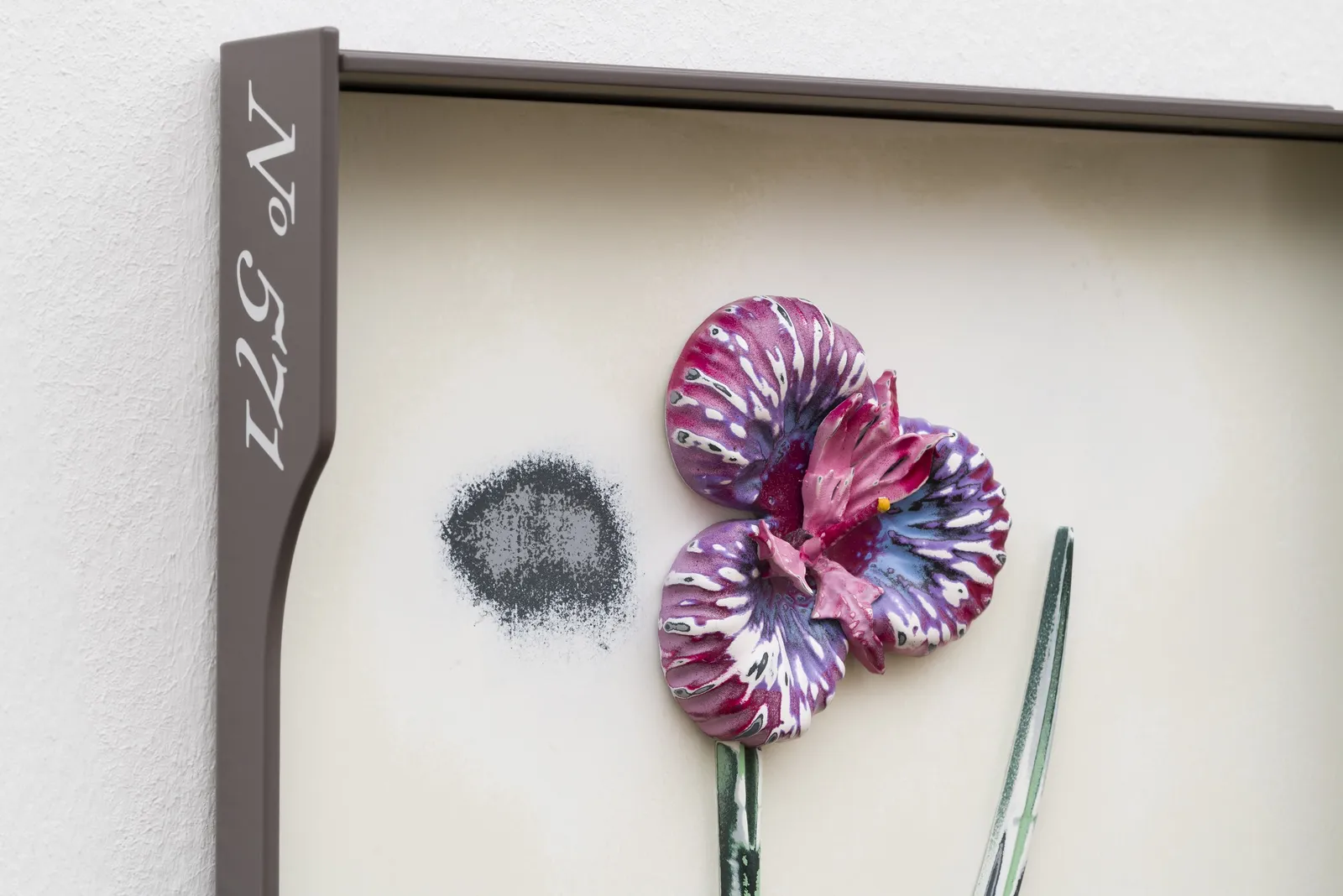 Image of Curtis (No. 571).