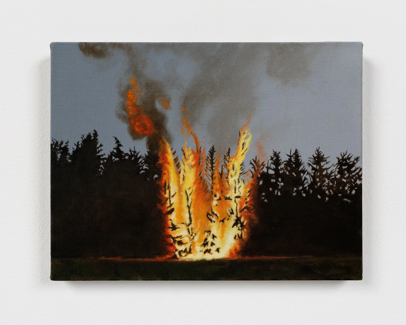 Image of Forest fire