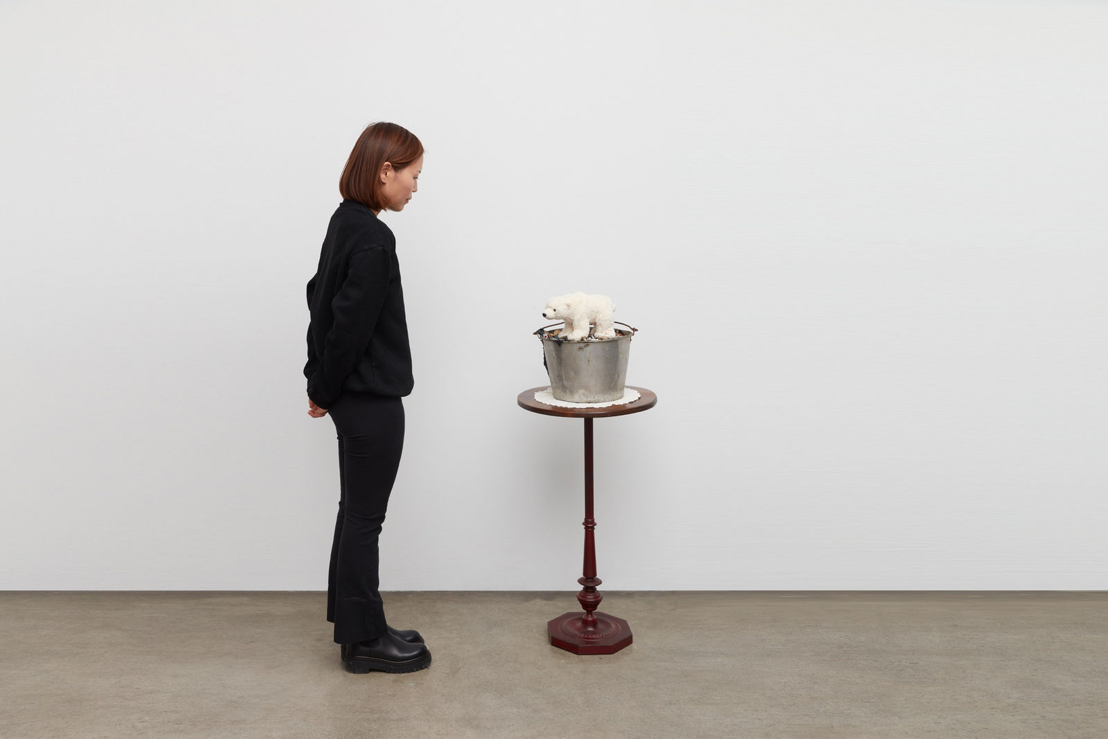 Image of The Polar Bear.