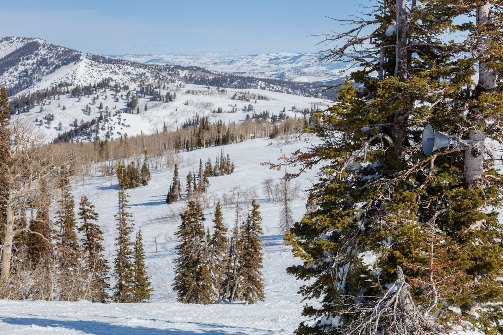 Image of We'll All Go Together.