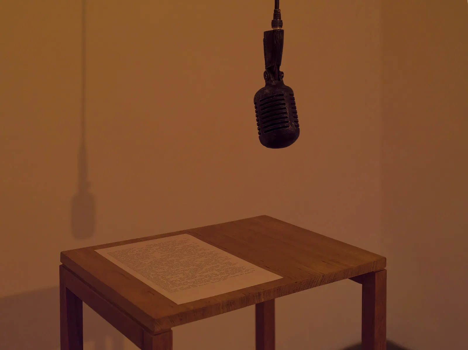 Shilpa Gupta Untitled 2023.