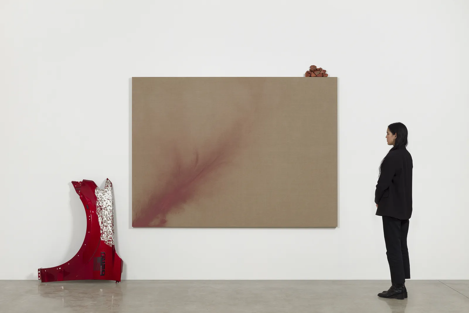 Image of Twenty Thousand Years of Red (from Red Ochre to Ford F-150 Side Panel).