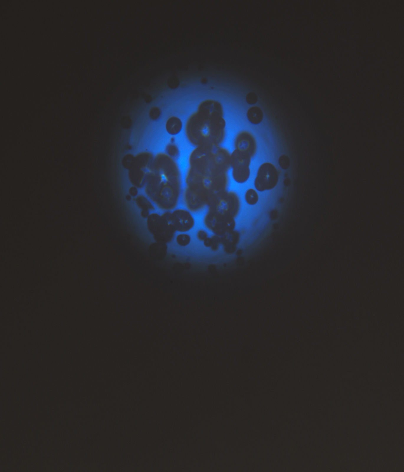 Olafur eliasson tripod with crystal spheres