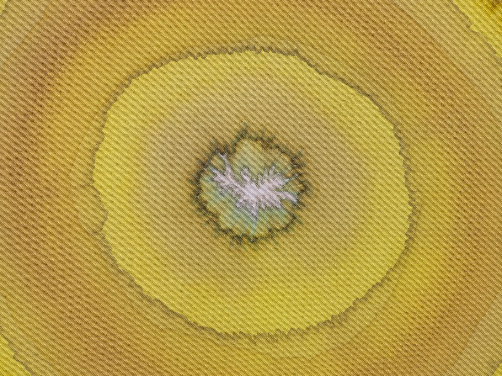 Image of Expanding complementary colours of light.