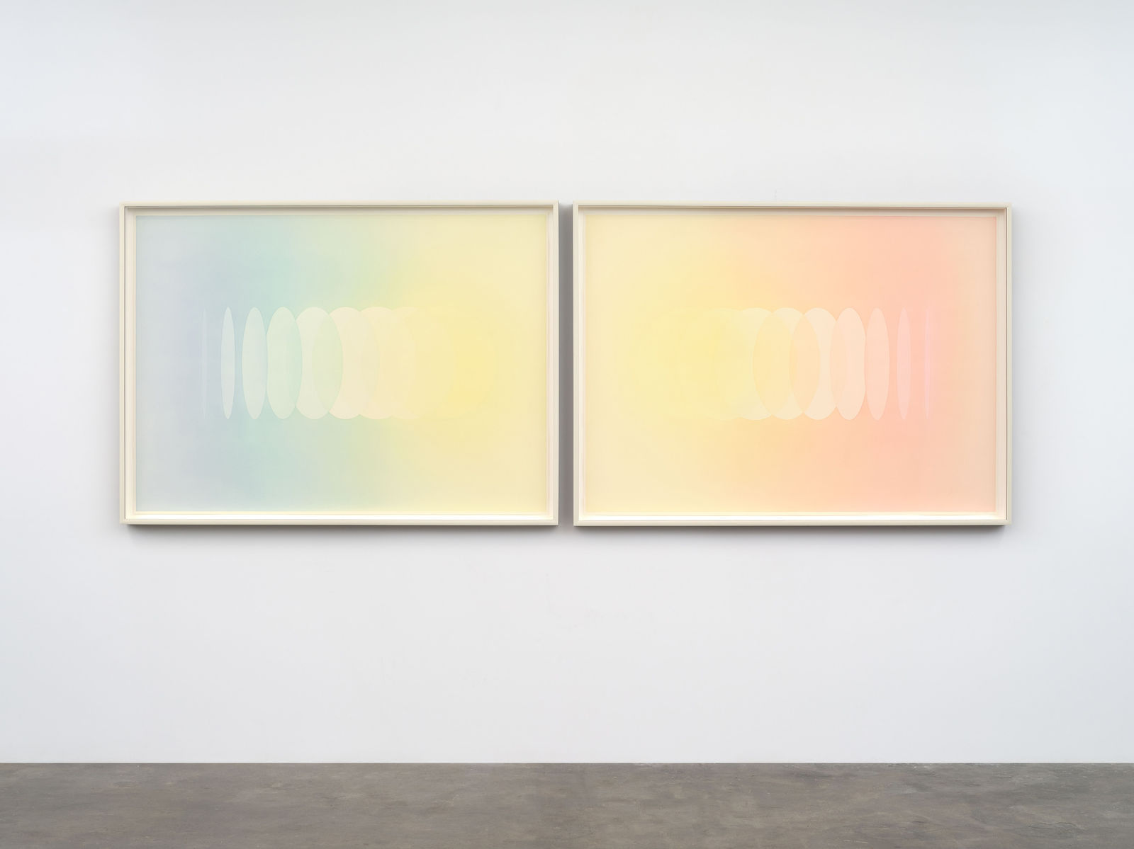 Image of The rainbow divide