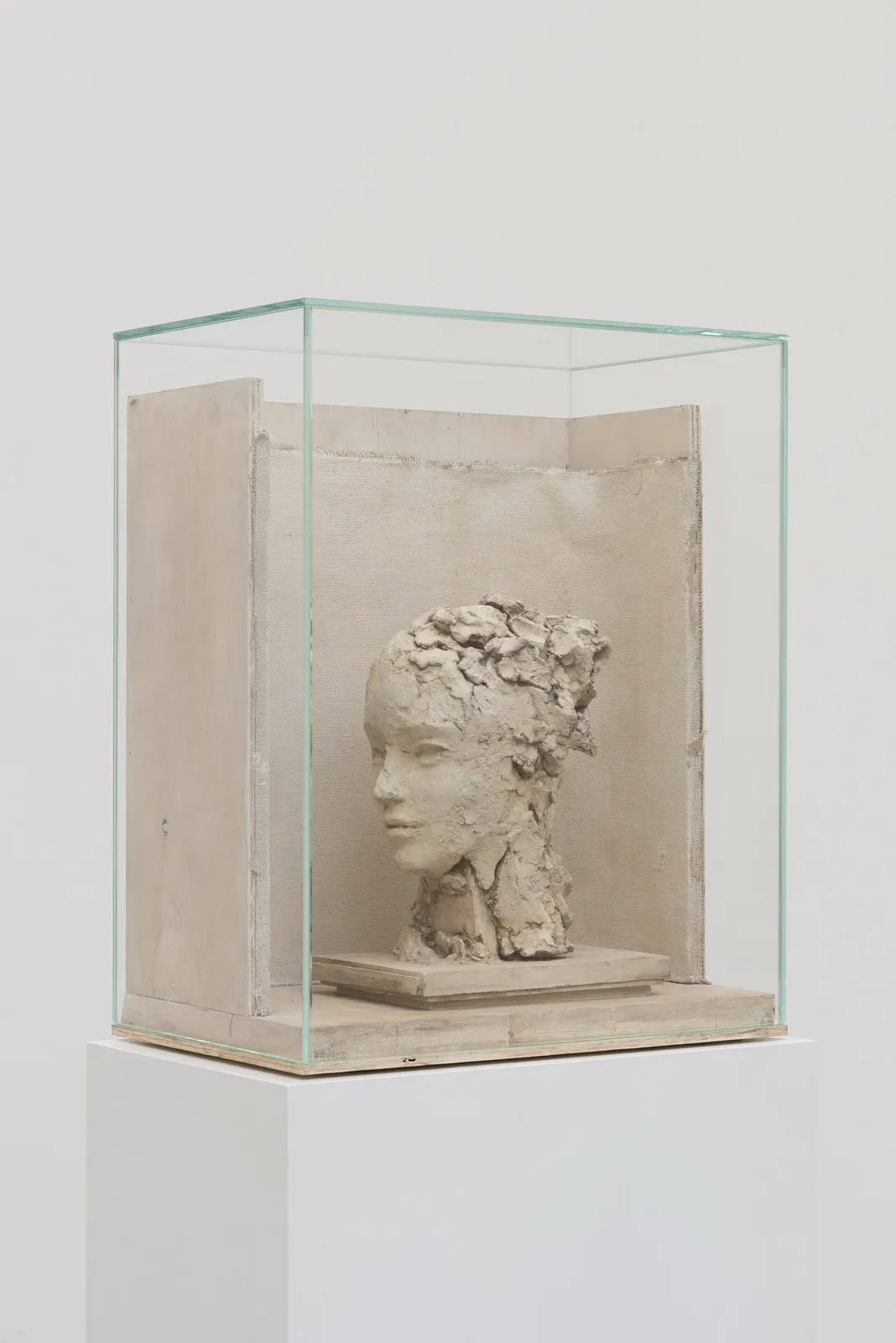 Image of Female Head.