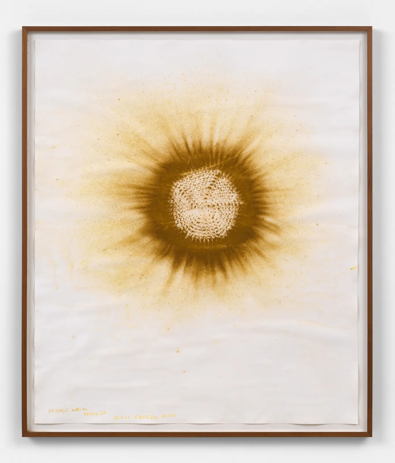 Image of Eu nasci assim Terra Sol