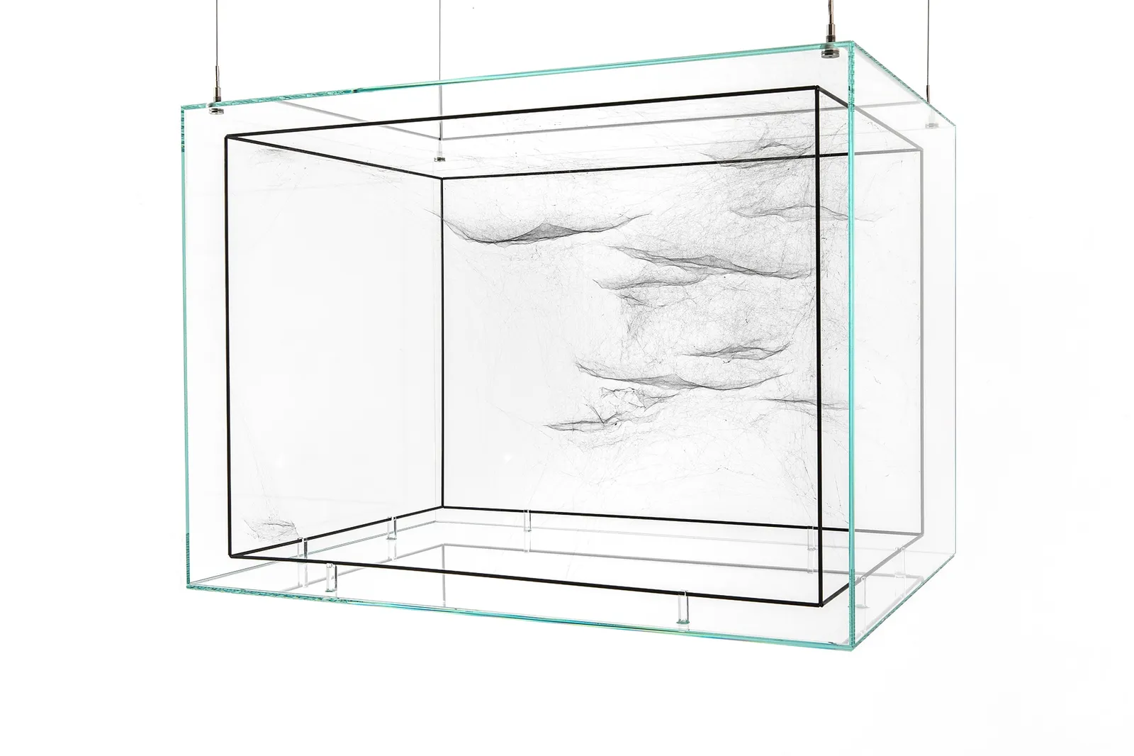 Image of spider box.