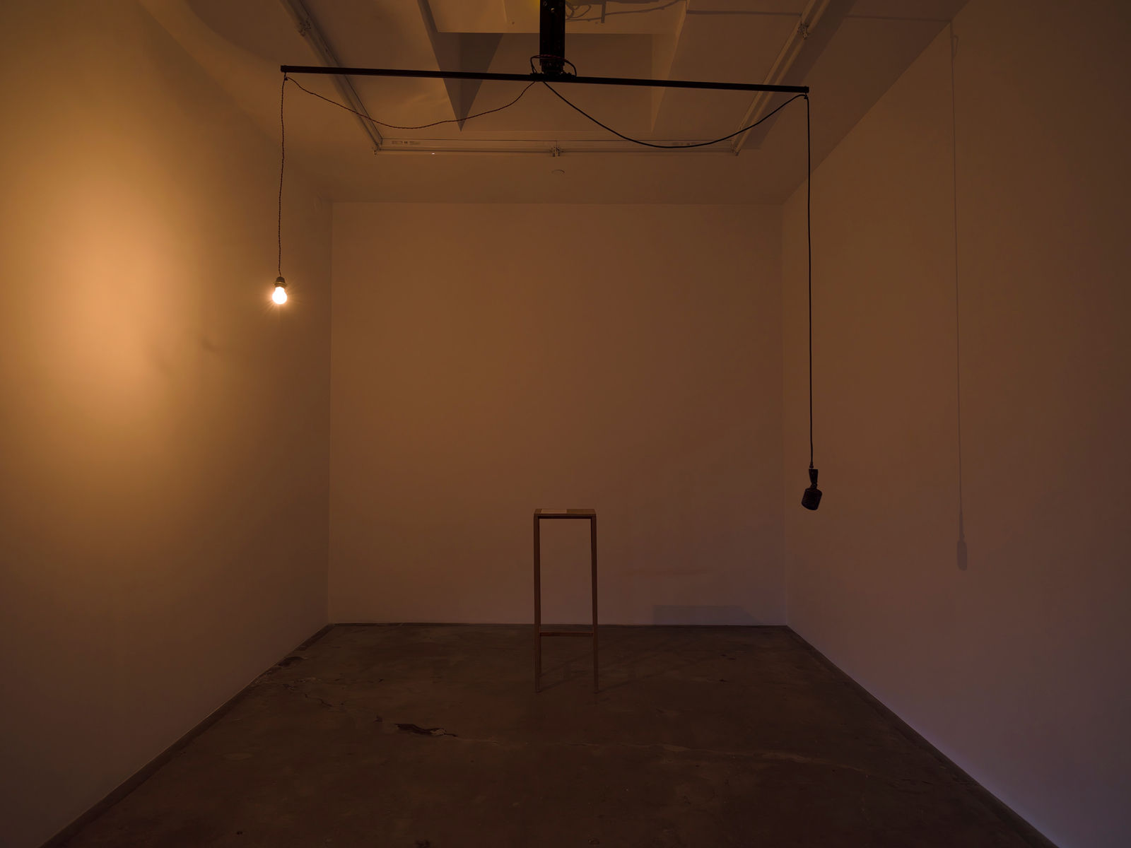 Shilpa Gupta Untitled 2023.