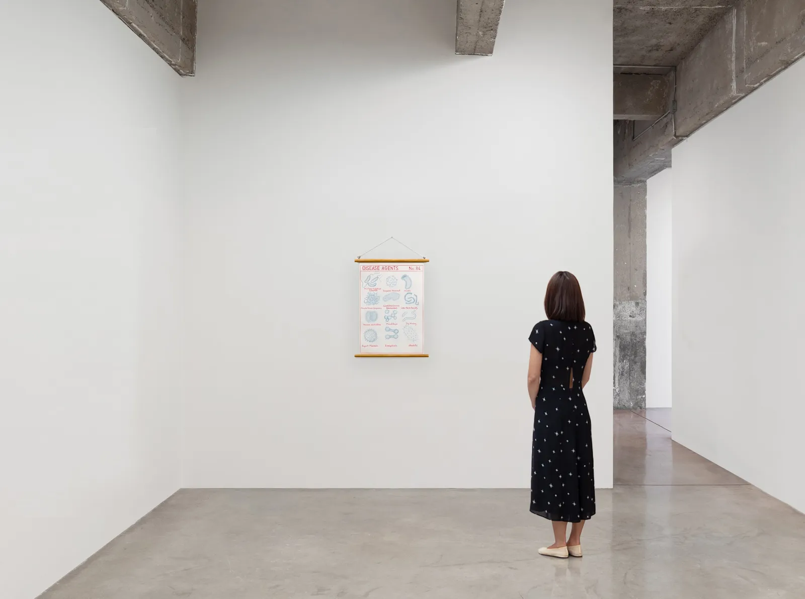 Image of Disease Agents, Chart 84.