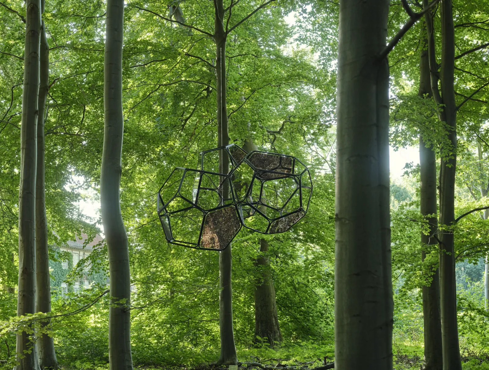 Image of Omega Centauri 3.9.