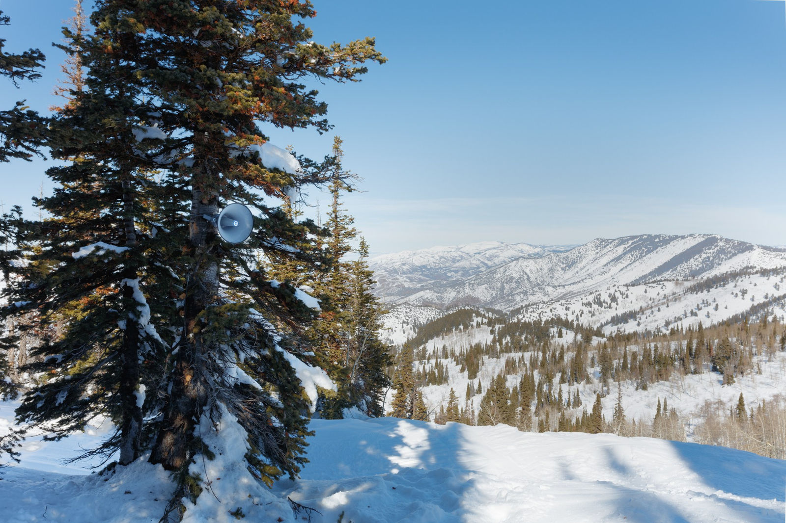 Image of We'll All Go Together.