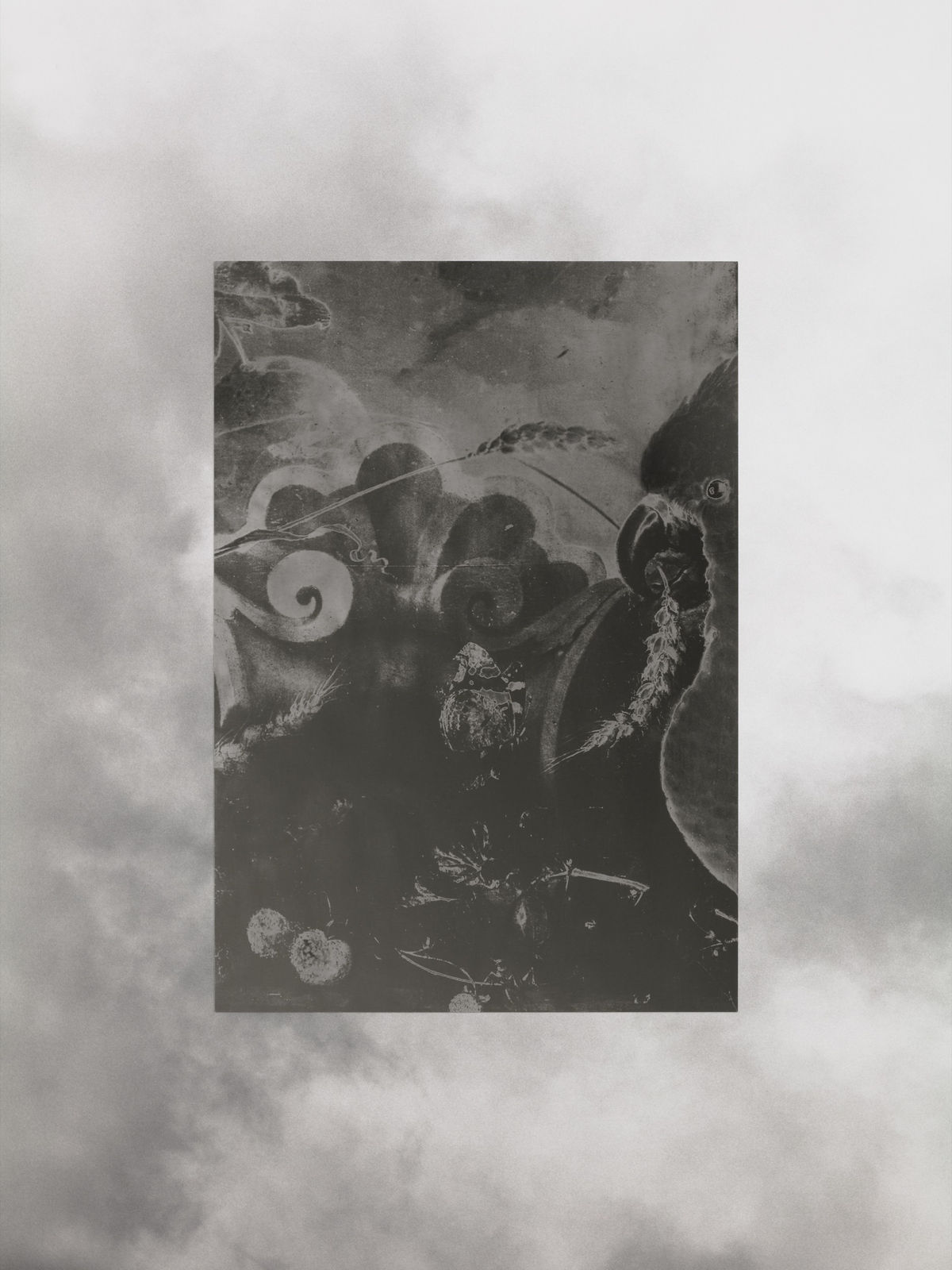 Image of Miroir entouré d’oiseaux, 1943/2022