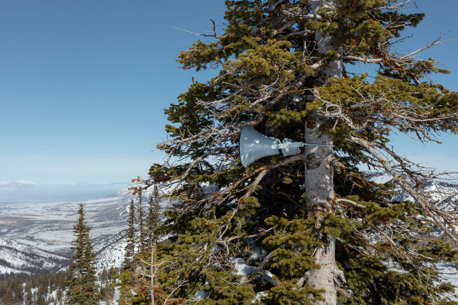 Image of We'll All Go Together.