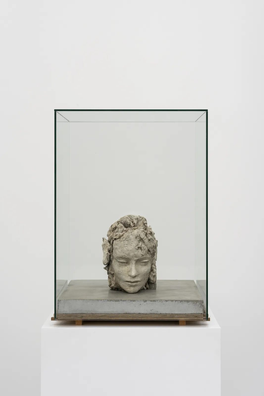 Image of Double Clayhead on Concrete Floor