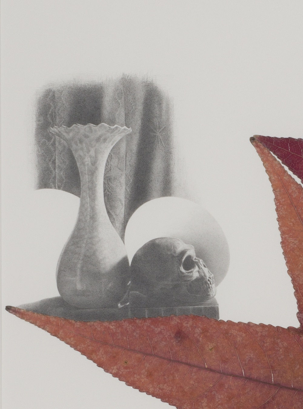 Peggy Preheim, Memento Mori [detail], 2014