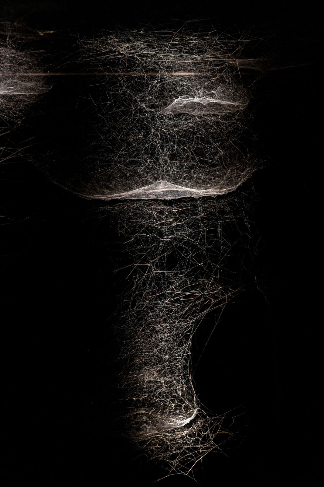 Saraceno sculpture images