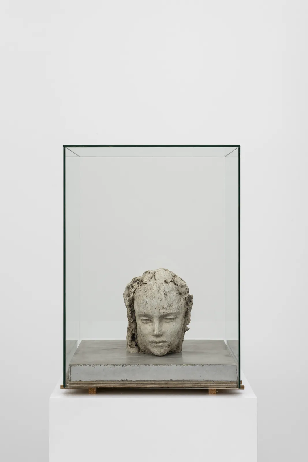 Image of Double Clayhead on Concrete Floor