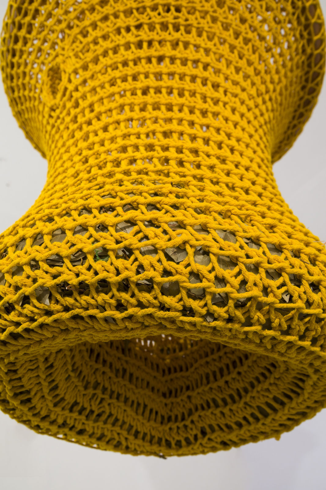 Image of ReforestingBody