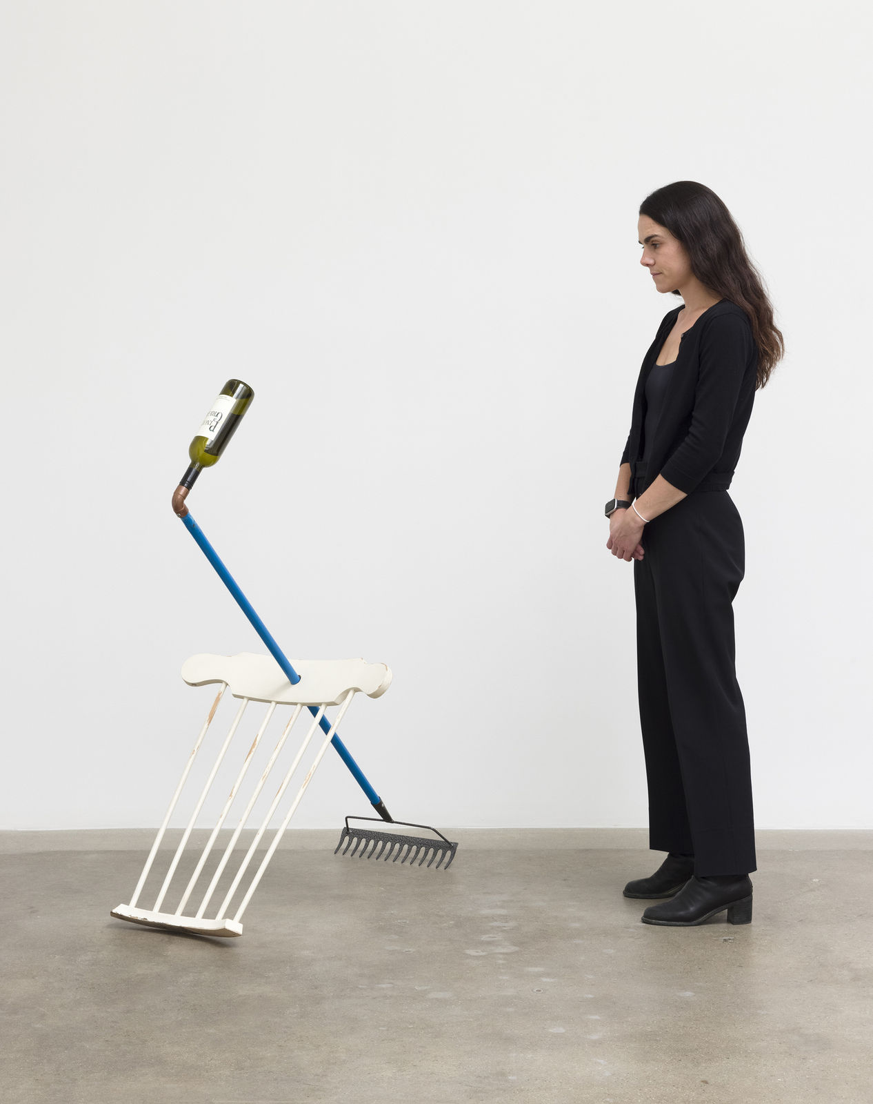 Image of Catachresis #55 (neck of the bottle, elbow of the pipe, back of the chair, teeth of the rake).