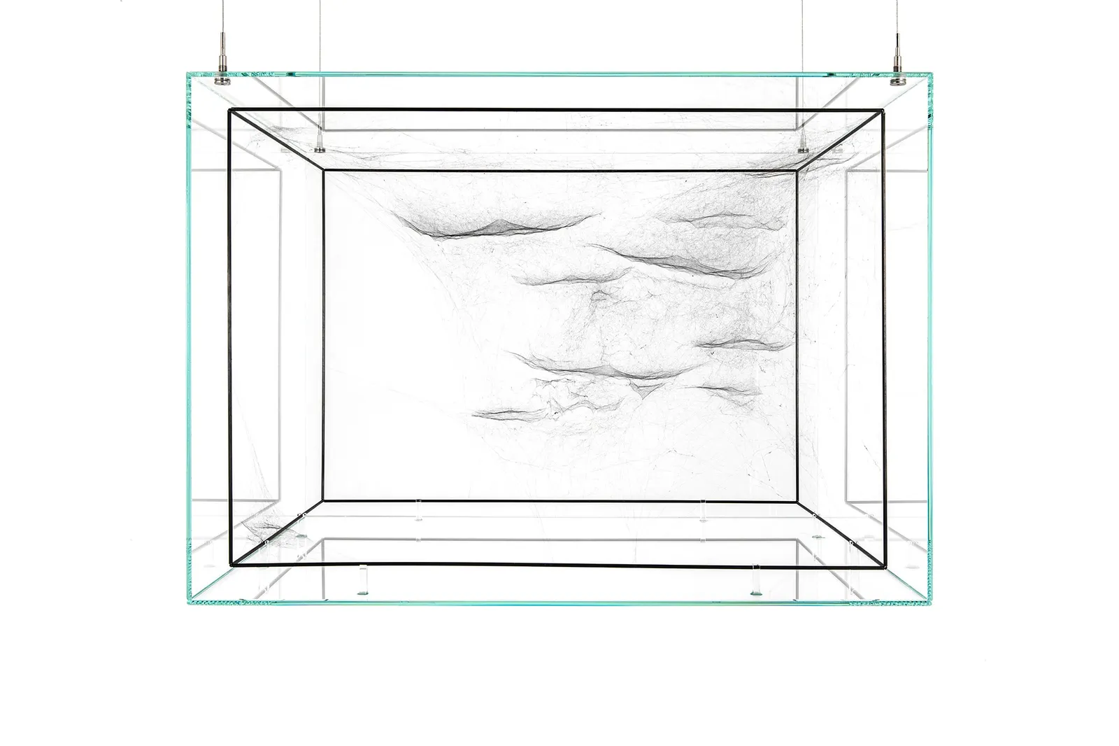 Image of spider box.