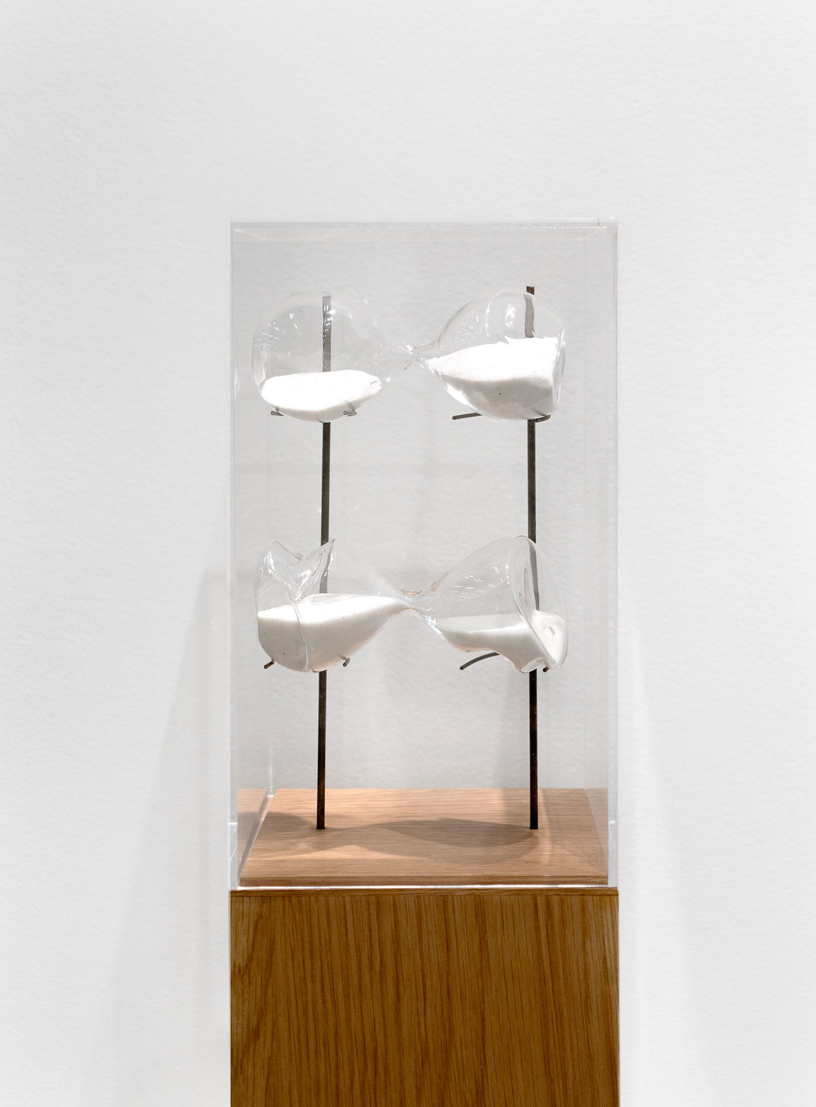 Shilpa Gupta Untitled