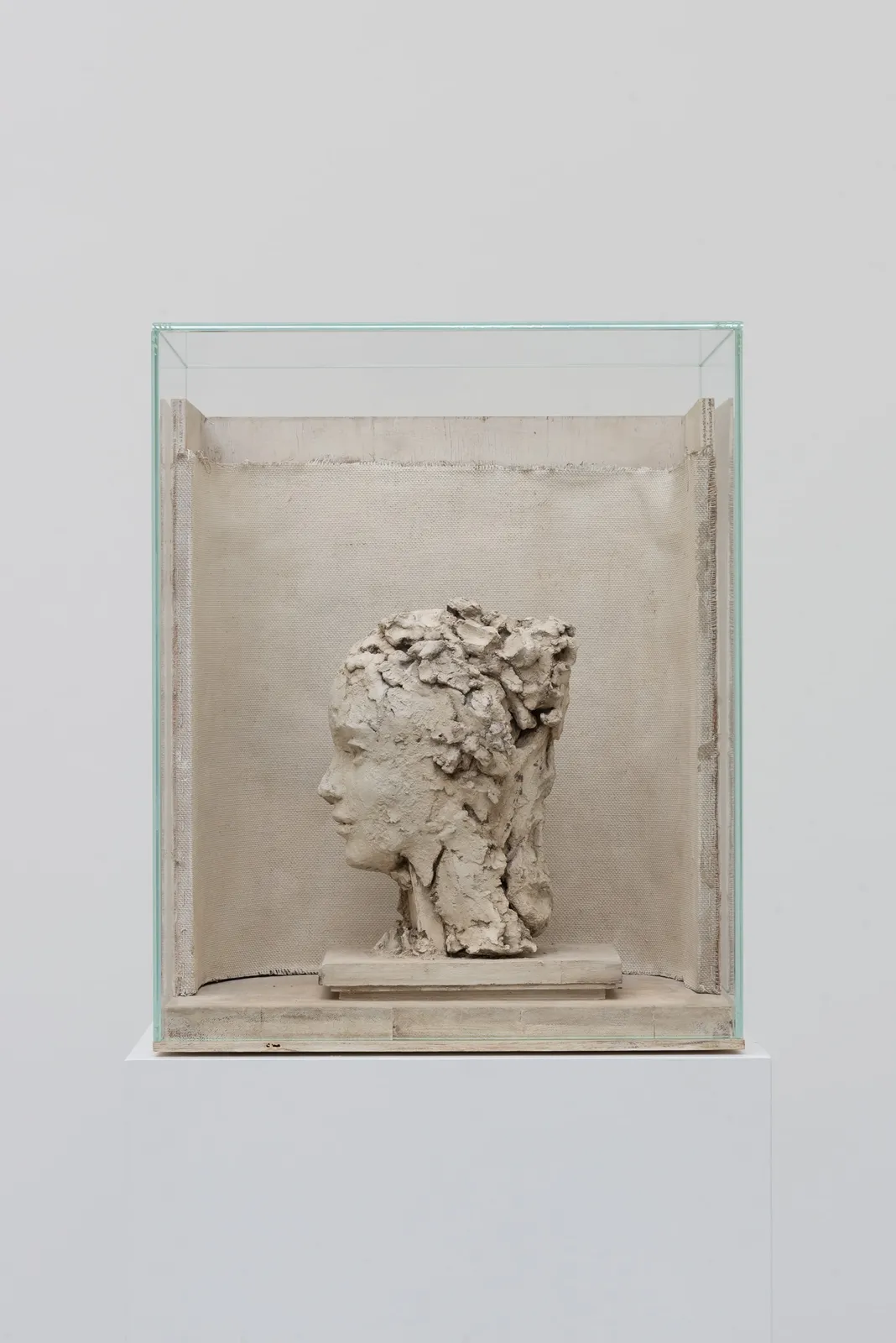 Image of Female Head.