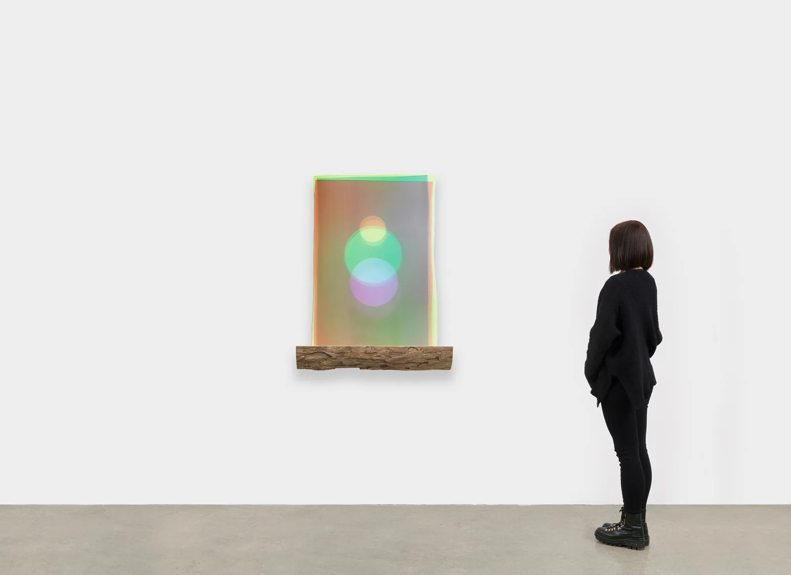 Image of The uncertain sun.