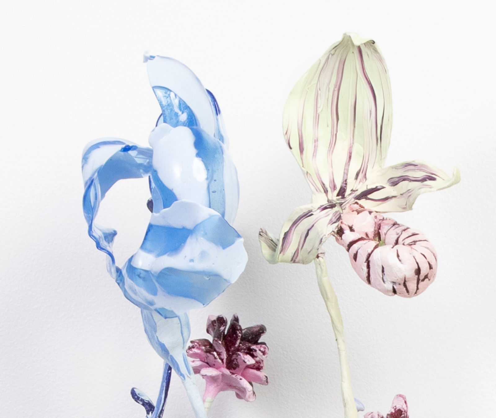 Image of Polypore nr 1