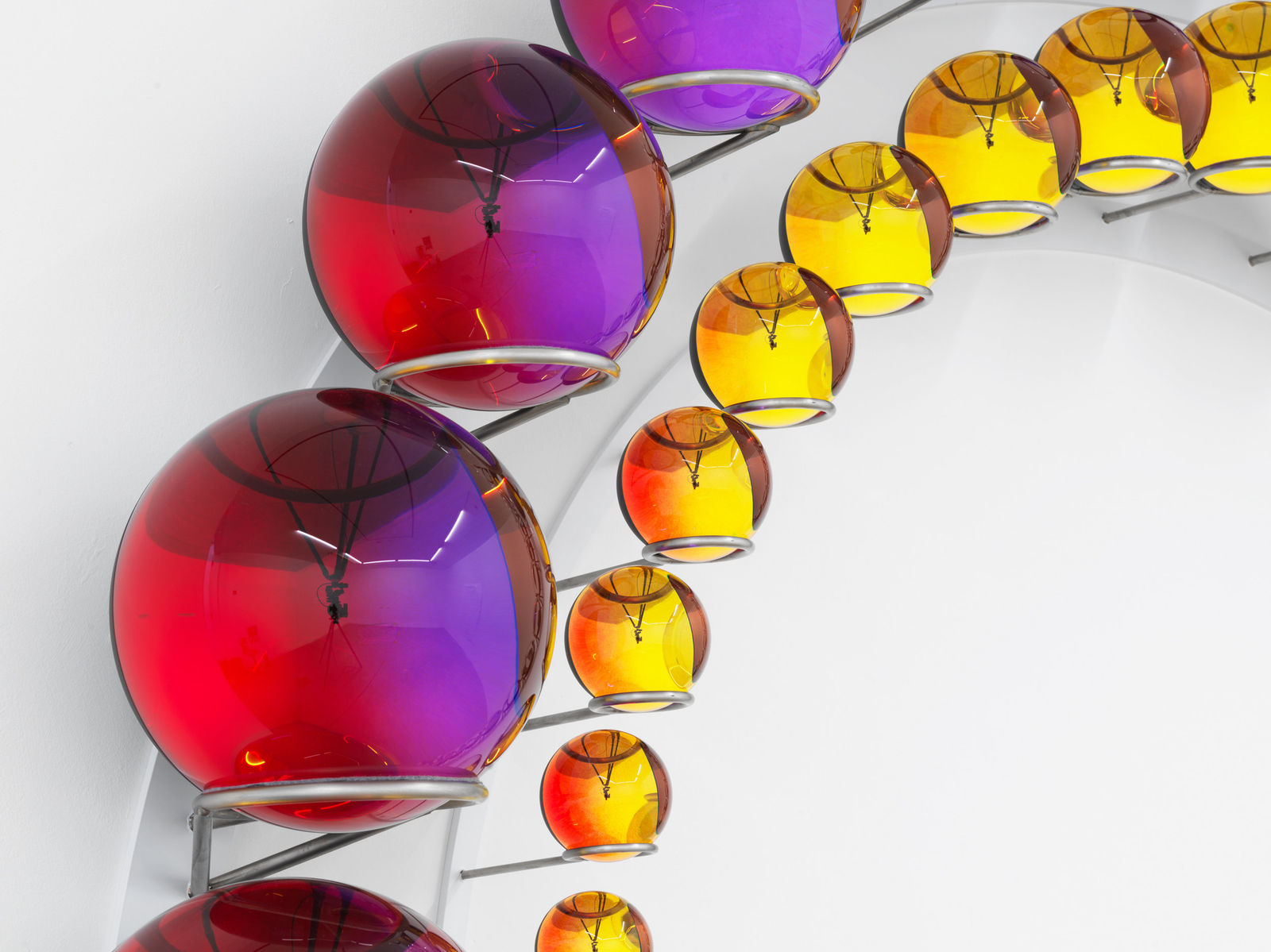 Image of Successful coexistence beyond earth.