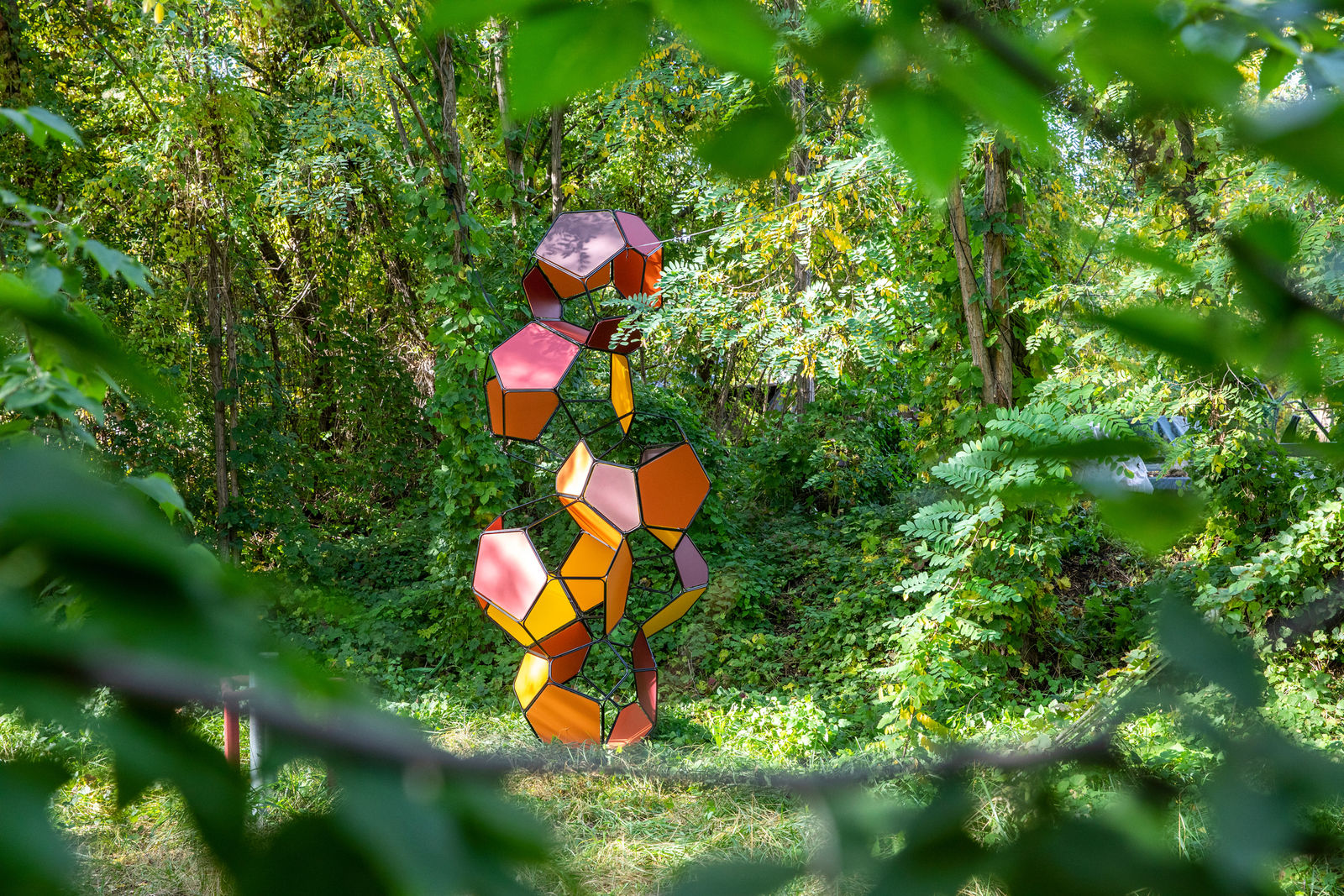 Image of Silent Autumn (Ross 508 B/M+M)